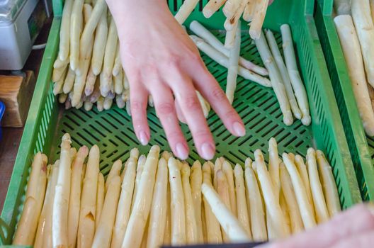 Harvest Fresh white asparagus on offer directly from the producer.
