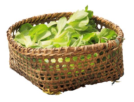 Fresh green salad in an old wicker basket on a white background. Nepal