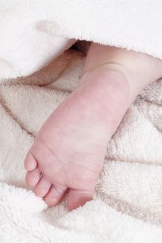 close up of baby�s feet wrapped in white blanket