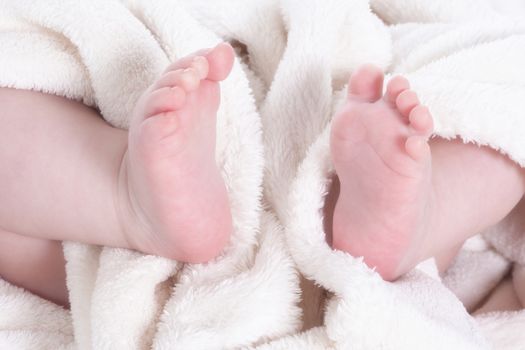 close up of baby�s feet wrapped in white blanket