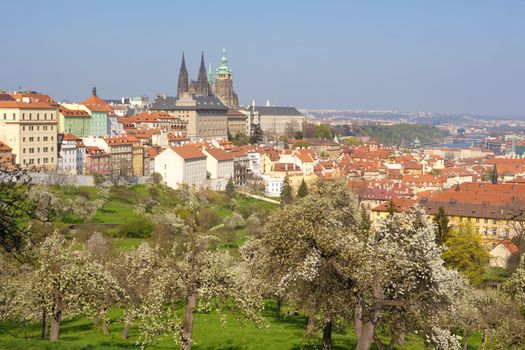 prague - view of hradcany castle and st. vitus cathedral in spring