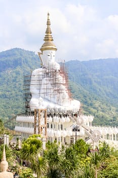 The measure has had a special ceremony before the fifth Buddha, or "The Sri Ariyamettriya" at the Cathedral to him Buddha. And brought the relics to be enshrined in the head Lord Sri Ariyamettriya.