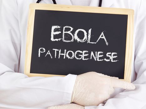 Doctor shows information: Ebola pathogenesis in german