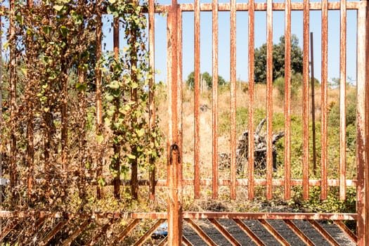 rusty gate in a field with vegatation on it