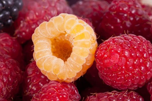 background of group of colorful raspberries macro