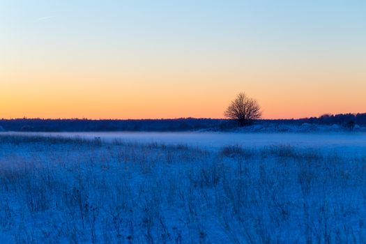 Winter snowy rural landscape in evening with litle fog