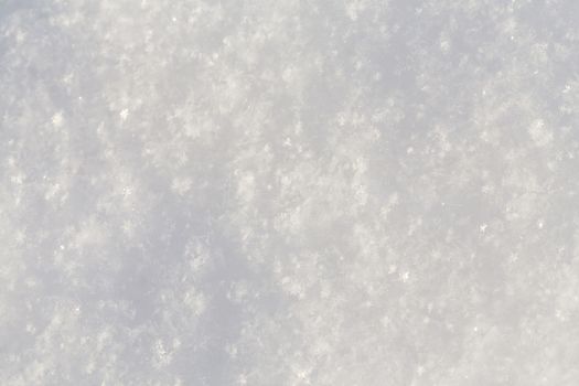 Pure snow texture - cold winter shot