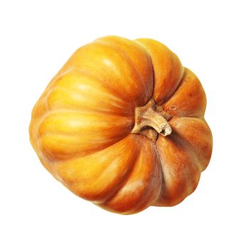 Fresh pumpkin isolated on white background with path