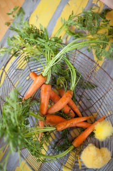 Carrots in a basket