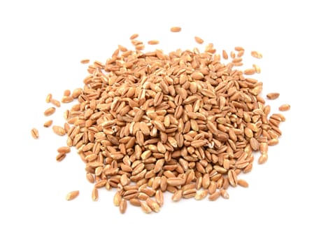 Farro dicocco, or Italian spelt, isolated on a white background