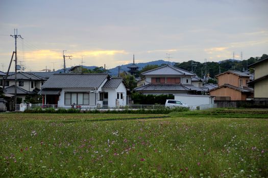 Residential houses of Nara with the pagoda of H��ry��-ji