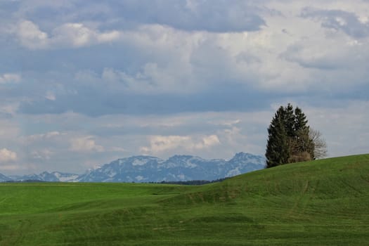 Rolling green hills with the Bavarian Alps behind.