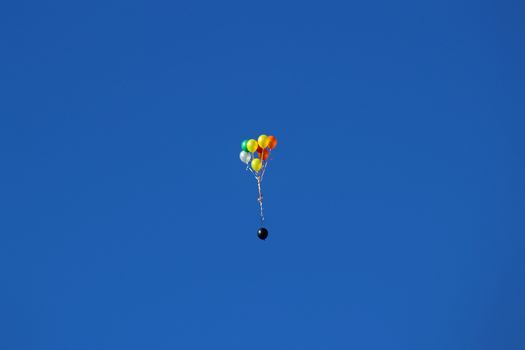 Colourful balloons floating off into a blue sky