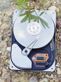 Hard Drive storage lays on the ground with sky and green plant reflection