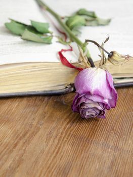 open vintage book with dry pink rose on it; focus on flower