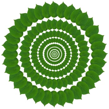 Pattern from green abstract circles from leaves
