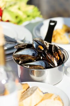 Gourmet mussels served garnished with fresh herbs for a tasty seafood meal