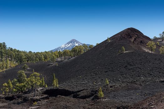 Volcanic landscape near Teide, Tenerife, Spain