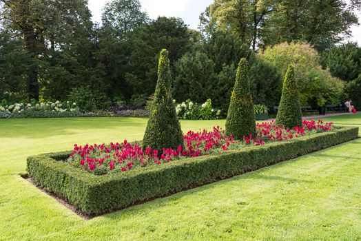 Flowerbeds in garden