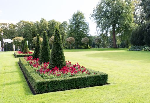 Flowerbeds in garden