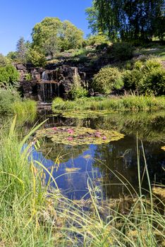 Garden pond and waterfalls