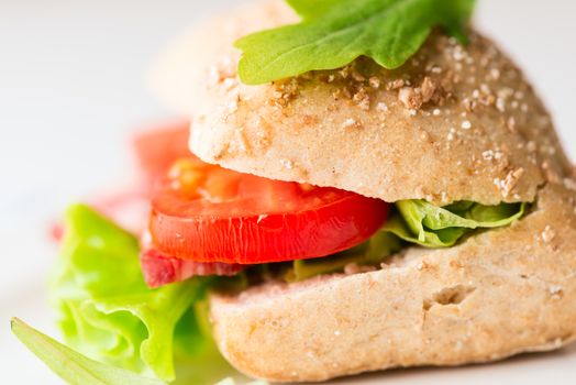 Salami sandwich on plate close up. Selective focus, shallow DOF