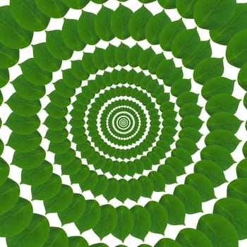 Pattern from green abstract circles from leaves