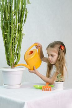 Girl playing in the gardener. Waters of a large cactus in the pot, standing next to a small cactus, a large lake, paddle