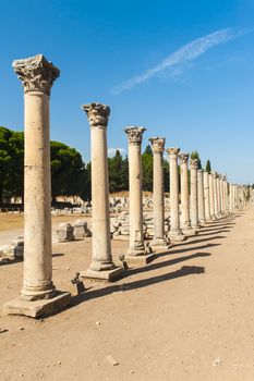 Row of Columns in the ruins of ancient Greek city of Ephesus