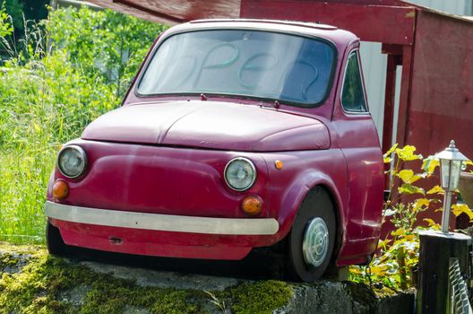 Half the car behind the front seats separated by overgrown grass.