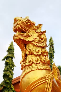 In the temple always have the lion gnarr.It has gold colour.