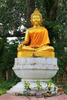The image of Buddha under the tree and many things for religious ceremony.