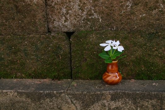 The vase of white vinca is on the boundary near the fence.