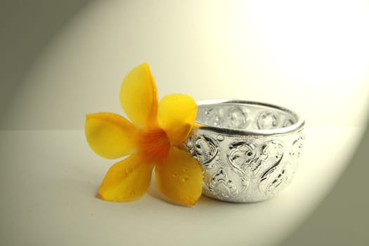 The small silver bowl on the white background with allamanda.