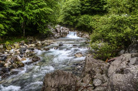 Augusta one day by the river (France)