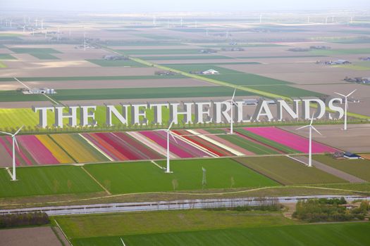 Dutch colourful flower field from above with Netherlands 3d Text