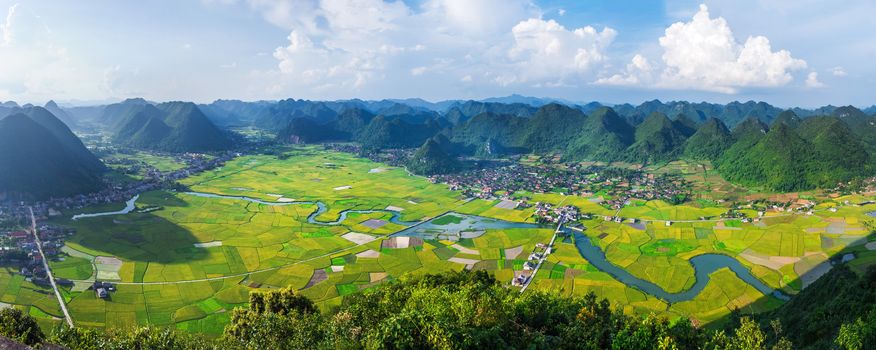 rice field in valley around with mountain in Bac Son, Vietnam.