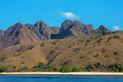 The beautiful nature of Komodo national park