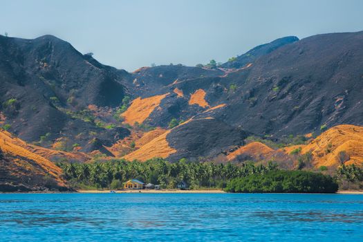 The beautiful nature of Komodo national park