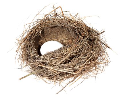 Birds nest with eggs on the white background. (isolated).