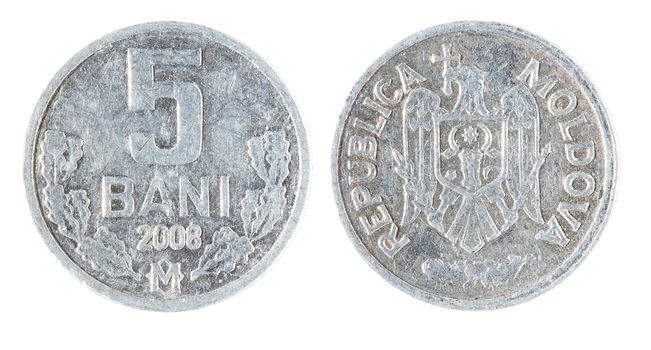 Moldova Coin 5 Bani on the white background (2008 year).