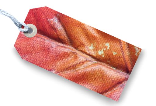 Autumn leaf gift or price tag over a white background 