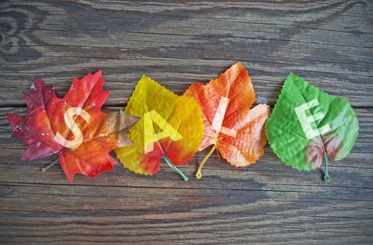 Autumn leaves with sale sign on wood