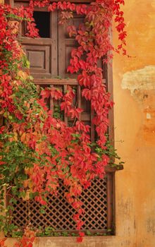 Alhambra Window Wall Fall  Leaves Garden Granada Andalusia Spain  