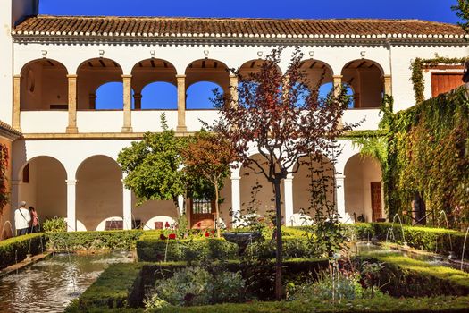 Generallife Alhambra White Palace Orange Tree Garden Granada Andalusia Spain