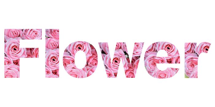 word flower on white background 