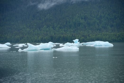 iceberg from Mendenhall Glacier floating in a lake