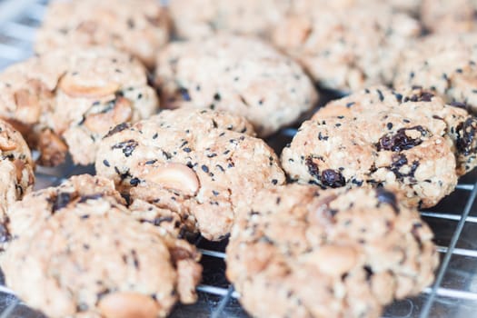 Closeup mixed nut cookies cooling on a rack, stock photo