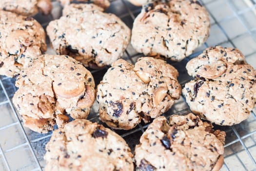 Closeup cereal cookies cooling on a rack, stock photo