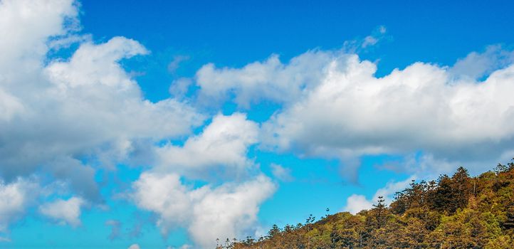 Blue sky with clouds over green forest.